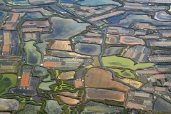 Marais salants de Guérande
