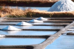 Marais Salants de Guérande